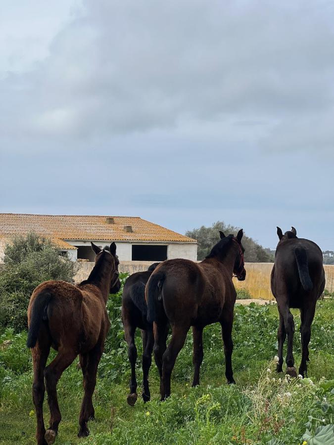 Islanders Menorca Country Club Son Carrio (Menorca) Exterior foto